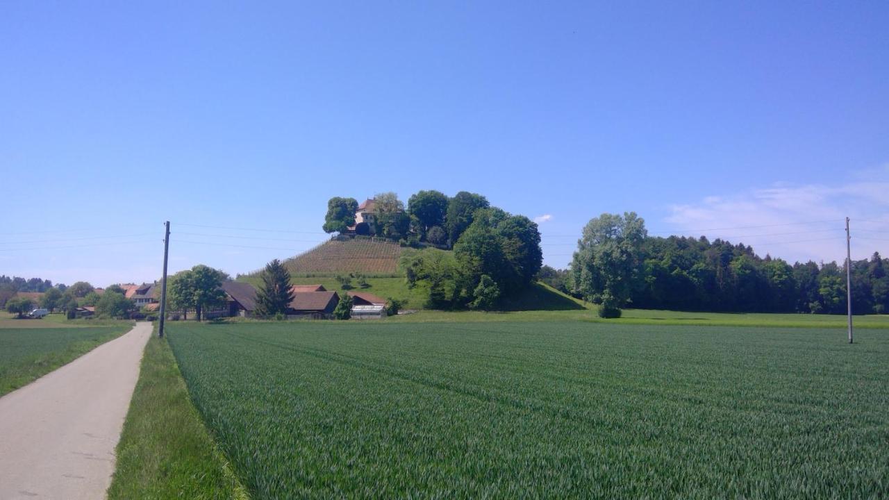 Bed And Breakfast 24 Stein Am Rhein Buitenkant foto